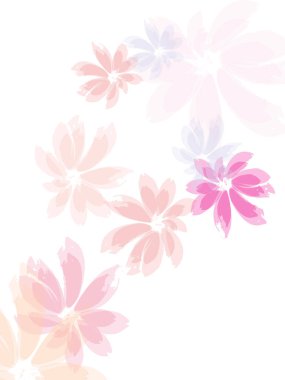 Düşen kiraz çiçekleri. Gelişmiş elementler uçuyor.