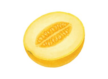 Taze ve sulu kavun çizimi, canlı bir dilim ve bütün bir meyveyle. Sağlıklı beslenmeyi, yaz tariflerini, organik ürünleri ve gıda içeriğini desteklemek için ideal.