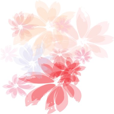 Düşen kiraz çiçekleri. Pastel pembe çiçek yaprakları çiçek dizaynı.