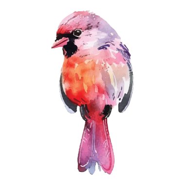 Beyaz arka planda suluboya kuş. el çizimi resimleme.