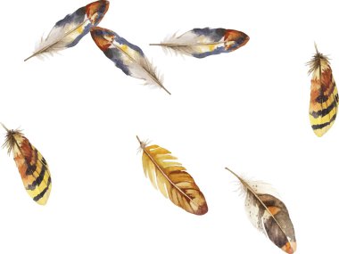 Beyaz arka planda tüy deseni var. Bu kusursuz tasarım çeşitli renkli, detaylı tüylere sahiptir, herhangi bir projeye veya dekora biraz doğa ve zarafet katmak için mükemmeldir..