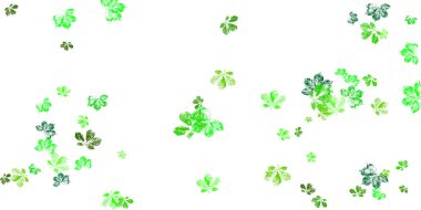 Çok renkli sonbahar yaprakları uzayda uçar ve havada uçar. Mesajın için. Beyaz arkaplanda izole et.