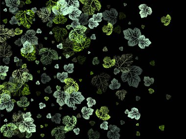 Sonbahar yaprakları dökülüyor ve kavak yaprakları rüzgarda uçuşuyor. Sonbahar tasarımı için turuncu tasarım. EPS10