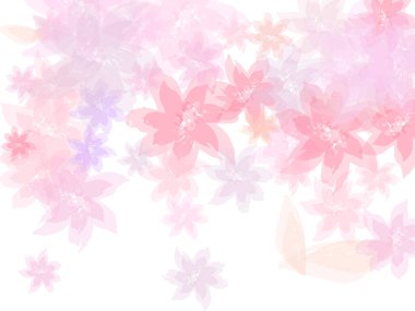 Apricot flower flying petals isolated on white. Pastel pink blossom petals floral design. Falling cherry blooming flower parts vector.