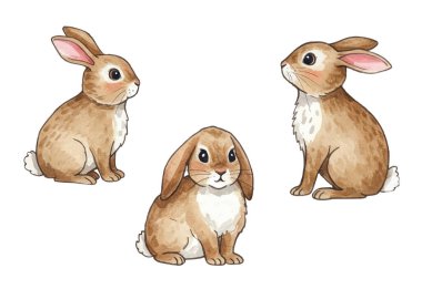Yumuşak tüylü ve nazik gözlü sevimli tavşan çizimi. Paskalya için mükemmel, çocuk dekoru için ya da doğadan esinlenilmiş tasarımlar için. Canlı, elle boyanmış görünüm her türlü yaratıcı projeye cazibe katar..