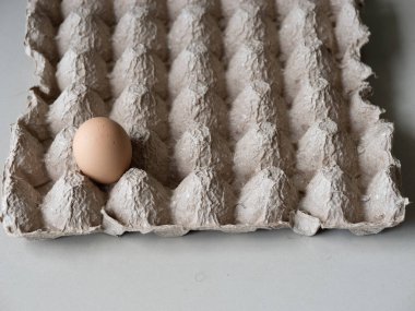 Tarafsız bir yüzeyde karton yumurta tepsisine yerleştirilmiş tek yumurta. Yiyecek tedariği, beslenme, basitlik, kıtlık ve asgari yaşam kavramları için uygundur..