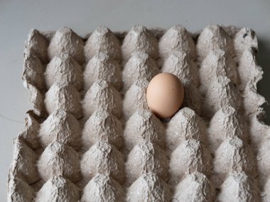 Kalıplı yumurta karton yumurta tepsisine yerleştirilmiş tek yumurta. Yiyecek tedariği, bakkal, beslenme, basitlik ve asgari yaşam kavramları için uygundur..