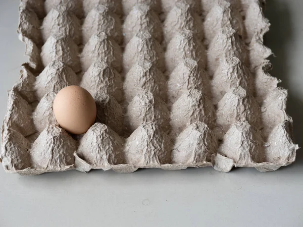 Tarafsız bir yüzeyde karton yumurta tepsisine yerleştirilmiş tek yumurta. Yiyecek tedariği, beslenme, basitlik, kıtlık ve asgari yaşam kavramları için uygundur..