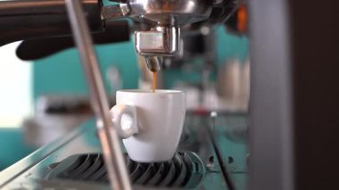 Bir kahve makinesi beyaz bir fincana sıcak kahve dağıtıyor. Kahve taze demlendi ve bardak temiz ve boş. Kahve makinesi bir mutfakta.