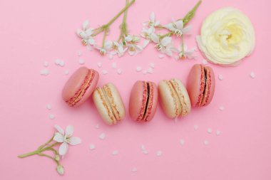 Beyaz ranunculus çiçekli beş pembe ve vanilyalı Fransız badem kurabiyesinin zarif kompozisyonu, beyaz çiçeklerle açan dallar ve yumuşak pembe arka planda dağınık şeker kristalleri. Çiçekli bahar süsüsüyle nefis bir tatlı..