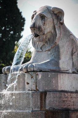 Piazza del Popolo, Roma, Lazio, İtalya ve Avrupa 'daki Aslan Çeşmesinin Ayrıntıları