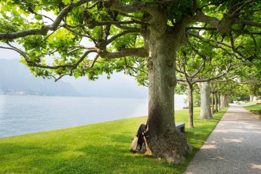 Arkasında bir göl olan güzel bir manzara.