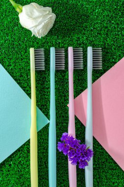 Yeşil çimlerde temiz renkli diş fırçaları