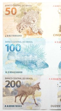 Sırtında Brezilya banknotları olan hayvanlar. Yan yana BRL banknotları, 200, 100 ve 50 reais. Guara kurdu, orfoz ve boyalı ons..