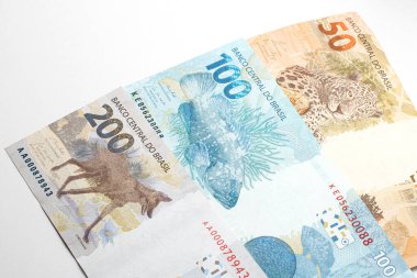 Brezilya banknotunun arkasında, üzerinde hayvanlar yazılı olan banknot. Brezilya 200, 100 ve 50 reais. Guara kurdu, orfoz ve boyalı ons. Beyazda izole edilmiş.