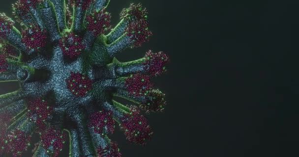 泛型良性或恶性病毒的概念动画 以说明或告知科学场景 病毒在侧面旋转 有文字空间 3D渲染 — 图库视频影像