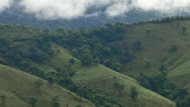 午後の間に降雨後に雲が蒸発する丘の上で 時間の経過ビデオ CapitalioのCerrado Miniroの風景 Minas Gerais Brazil — ストック動画