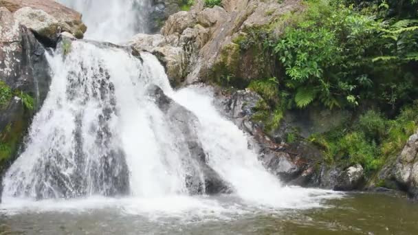 Roque Minas ブラジル 2020年12月14日 Rppn Cachoeira Cerradaoの滝の景色 自然環境観光スポット — ストック動画