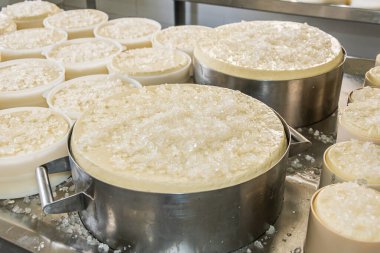 Sao Roque de Minas - MG, Brezilya - 12 Aralık 2020: Serra da Canastra bölgesinde Roca Da Cidade Artisanal Peynir Yapımı 'nda peyniri kaba tuzla tuzlama süreci.