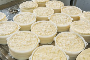 Sao Roque de Minas - MG, Brezilya - 12 Aralık 2020: Serra da Canastra bölgesinde Roca Da Cidade Artisanal Peynir Yapımı 'nda peyniri kaba tuzla tuzlama süreci.