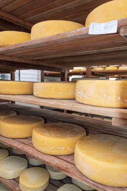 Sao Roque de Minas - MG, Brezilya - 12 Aralık 2020: Roca Da Cidade 'deki olgunlaşma sürecinde peynir depolama, peynir rotasında sanatsal peynir üretimi, Serra da Canastra.