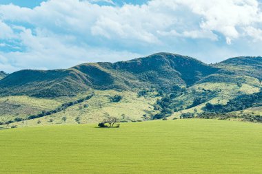 Tepelerin yanında bir çiftlik arazisi, güneşli bir günde yeşil bir arazi. Minas Gerais eyaletinin manzarası, MG, Brezilya.