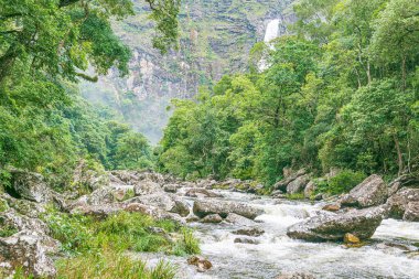 Sao Roque de Minas - MG, Brezilya - 13 Aralık 2020: Canastra Sierra Ulusal Parkı 'ndaki Casca D' anta şelalesinin yanındaki doğal güzellikler. Minas Gerais 'in Eko turizm beldesi.