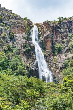 Sao Roque de Minas - MG, Brezilya - 14 Aralık 2020: Cerradao Şelalesi 'nin Doğal Rezervi. Canastra bölgesinden Sierra. Minas Gerais eyaletinin turizm beldesi.