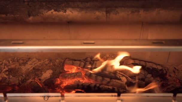 バーベキューの底で燃える薪炎で赤く熱い — ストック動画