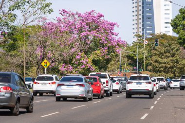Campo Grande - MS, Brezilya - 4 Temmuz 2021: Viar Park 'taki araçların geçişi, Prof. Luis Alexandre de Oliveira Caddesi.