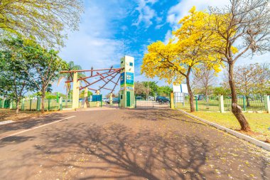 Campo Grande, MS, Brezilya - 05 Eylül 2021: Yerli Milletler Parkı 'nın Guarani girişinin yanındaki güzel sarı Ipe ağacı.