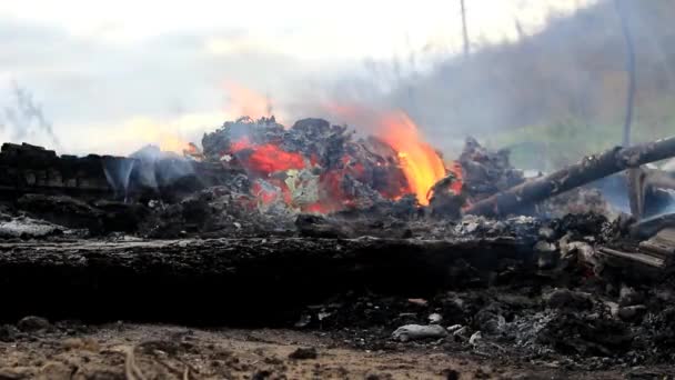 Oheň Pomalu Uhasíná Jeho Uhlíky Doutnají Plameny Občas Vybuchnou Kouř — Stock video