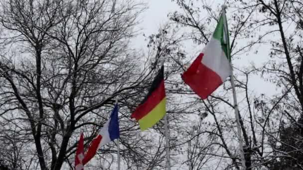 Bandiere Italia Germania Francia Svizzera Sventolano Nel Vento — Video Stock