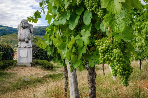 法国安得劳 2020年7月17日 法国阿尔萨斯酿酒村安得劳的Moenchberg葡萄园 一个提着酒桶的胖和尚的雕像 — 图库照片