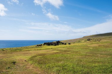 Ahu Vinapu 'nun panoramik manzarası, Rapa Nui Ulusal Parkı, Paskalya Adası, Kasım 2025