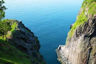 Furepe Şelalesi, gezinti güvertesinden manzara ve Slaty 'nin desteklediği martı sürüsü, Shiretoko June