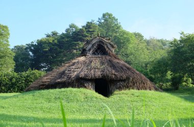 Jomon Dönemi Çukur Kuyusu, Idojiri Tarihi Alan Parkı