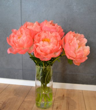 Farklı arkaplanda farklı pembe renklerde bir demet taze şakayık. Kart Kavramı, metin için boşluk kopyala