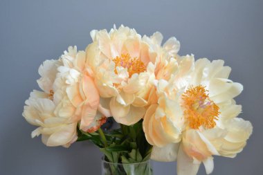 Bouquet of five yellow peonies with stems and green leaves in close up