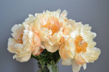 Bouquet of five yellow peonies with stems and green leaves in close up