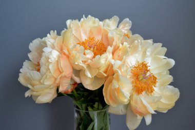 Bouquet of five yellow peonies with stems and green leaves in close up