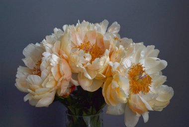Bouquet of five yellow peonies with stems and green leaves in close up