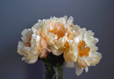 Bouquet of five yellow peonies with stems and green leaves in close up