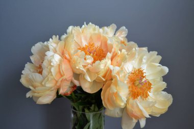 Bouquet of five yellow peonies with stems and green leaves in close up