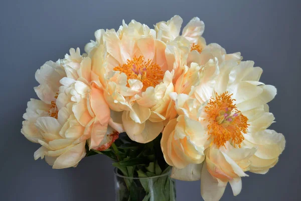 Bouquet of five yellow peonies with stems and green leaves in close up