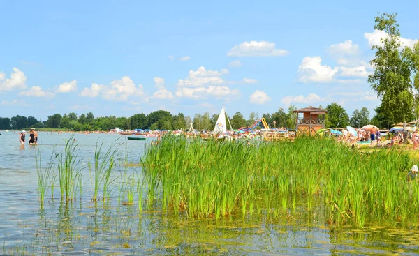 Plage Été Sur Lac Svityaz — Photo