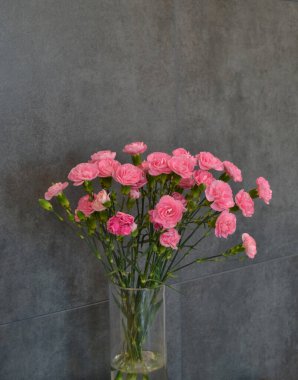 Pembe çiçek karanfili duvar kağıdı tasarımı