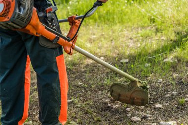 Güneşli bir bahar gününde bahçede çimleri budama makinesiyle budamak. Arka plan