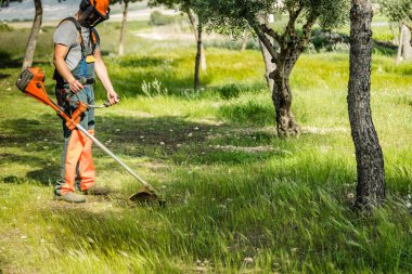 Yeşil ağaçlarla çevrili çimleri budarken kask takan ve koruyucu giysiler giyen bir adam..