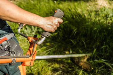 Güneşli bir bahar gününde bahçede çimleri budama makinesiyle budamak. Yan görünüm